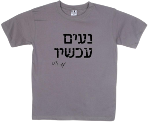 חולצה אפורה - נעים עכשיו