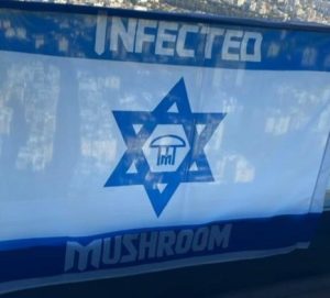 דגל פיטריות לפטריוט