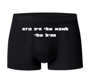 בוקסר - טיל תודי