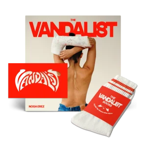 THE VANDALIST LP + STENCIL + SOCKS BUNDLE