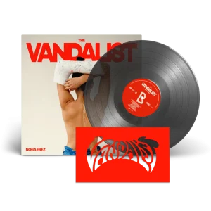 THE VANDALIST BLACK ICE VINYL