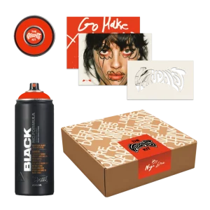 THE VANDALIST SPRAY PAINT + STENCIL KIT (LIMITED EDITION) - IL Customers Only!