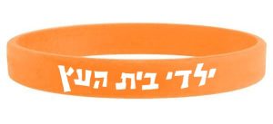 צמיד סיליקון בצבעים שונים - ילדי בית העץ