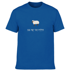 חולצה אדומה או כחולה - הילדה הכי יפה בגן